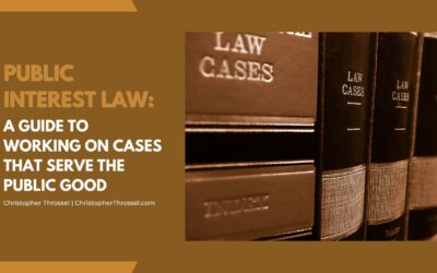 Public Interest Law: A Guide to Working on Cases That Serve the Public Good